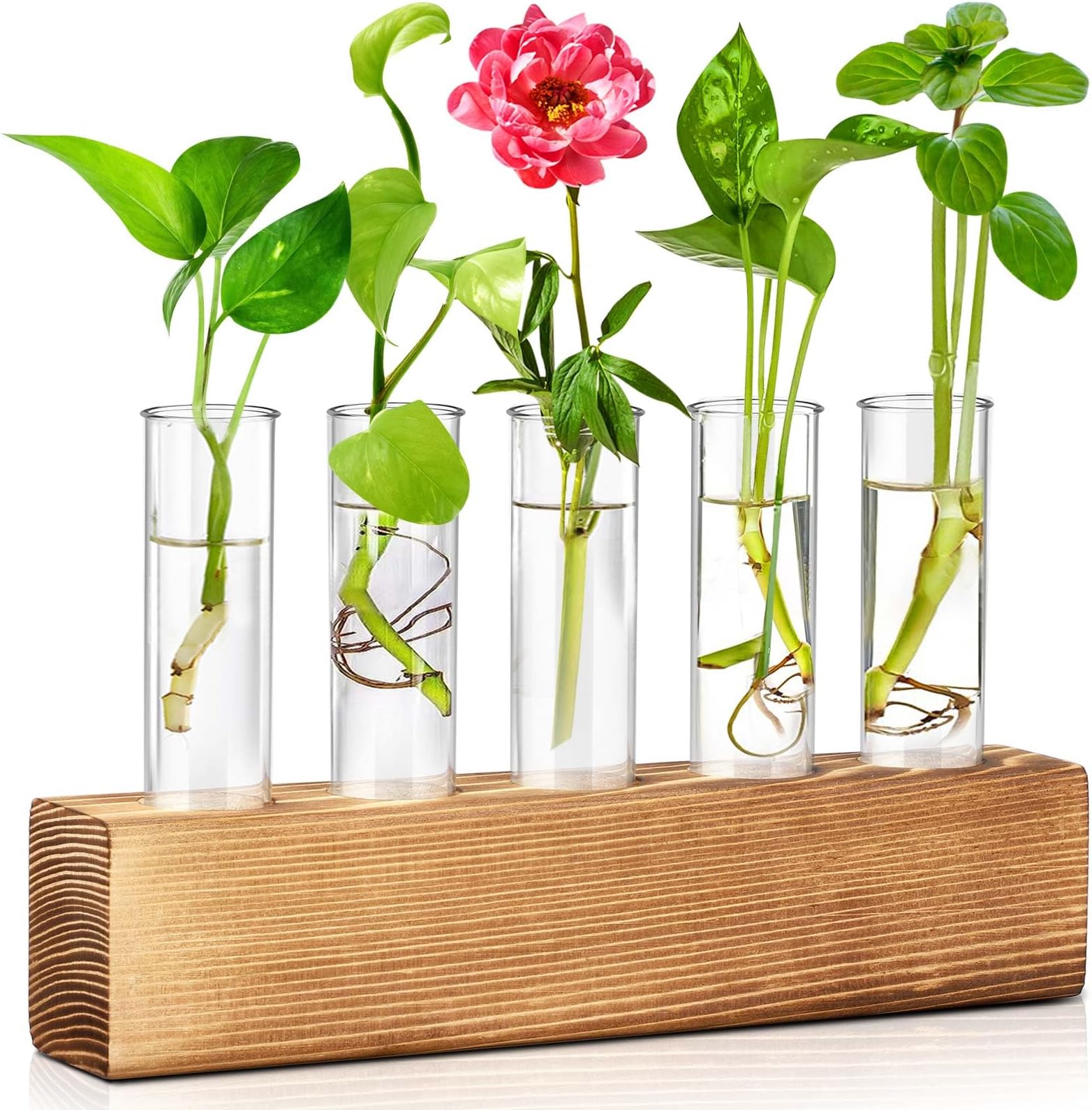 Ufkaa Gardening Gifts for Women, Unique Plant Gift for Mum Daughter Wife Auntie Grandma Gardener Best Friend, Female Ladies Garden Presents for Birthday Christmas Mothers Day Valentines Day