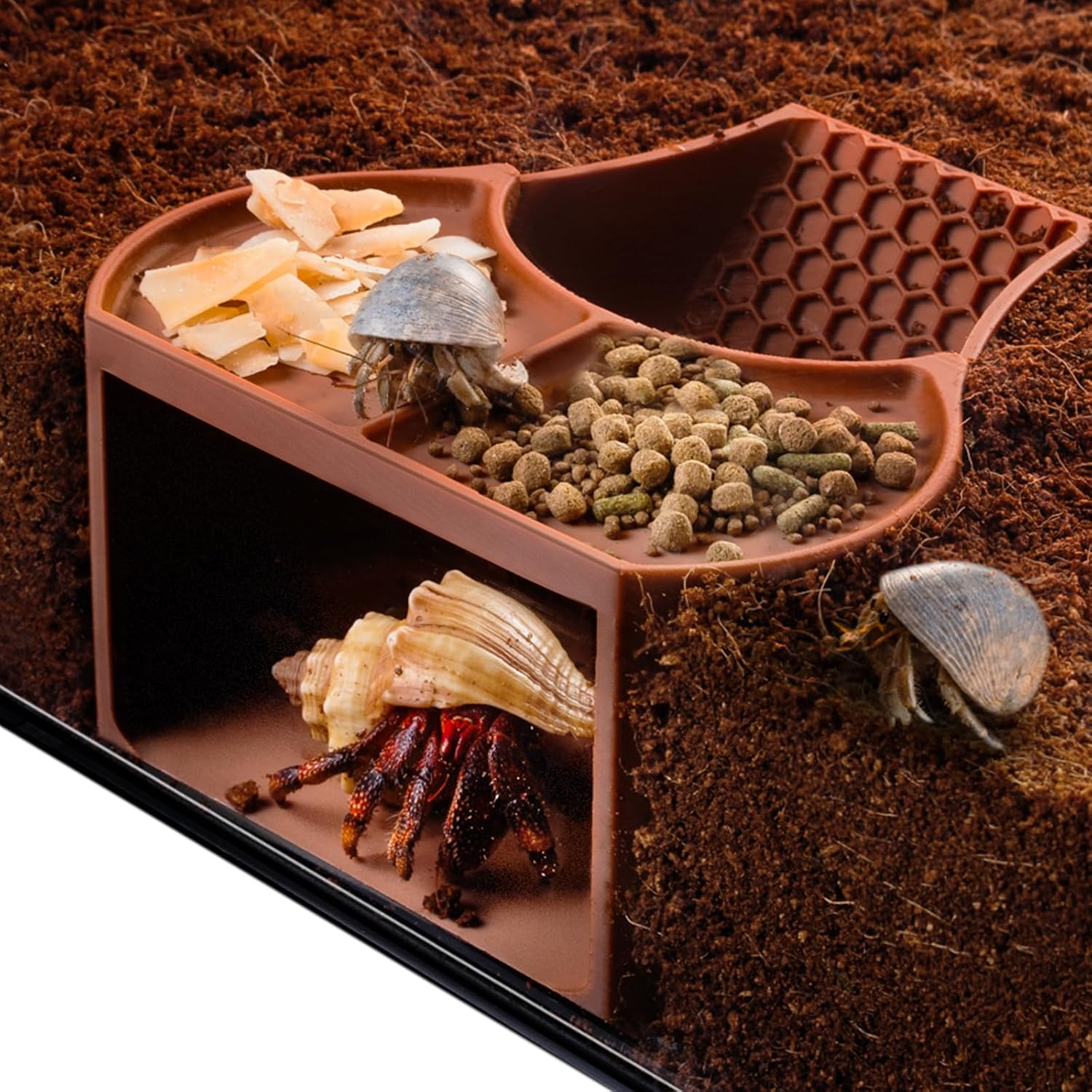 Hermit Crab Habitat Shelter with Dual Food Bowls, 2-in-1 Cave Shelter & Feeding Dish, Textured Climbing Ramp & Viewing Window, Hermit Crab Accessories for Habitat & Tank Setup (Brown)