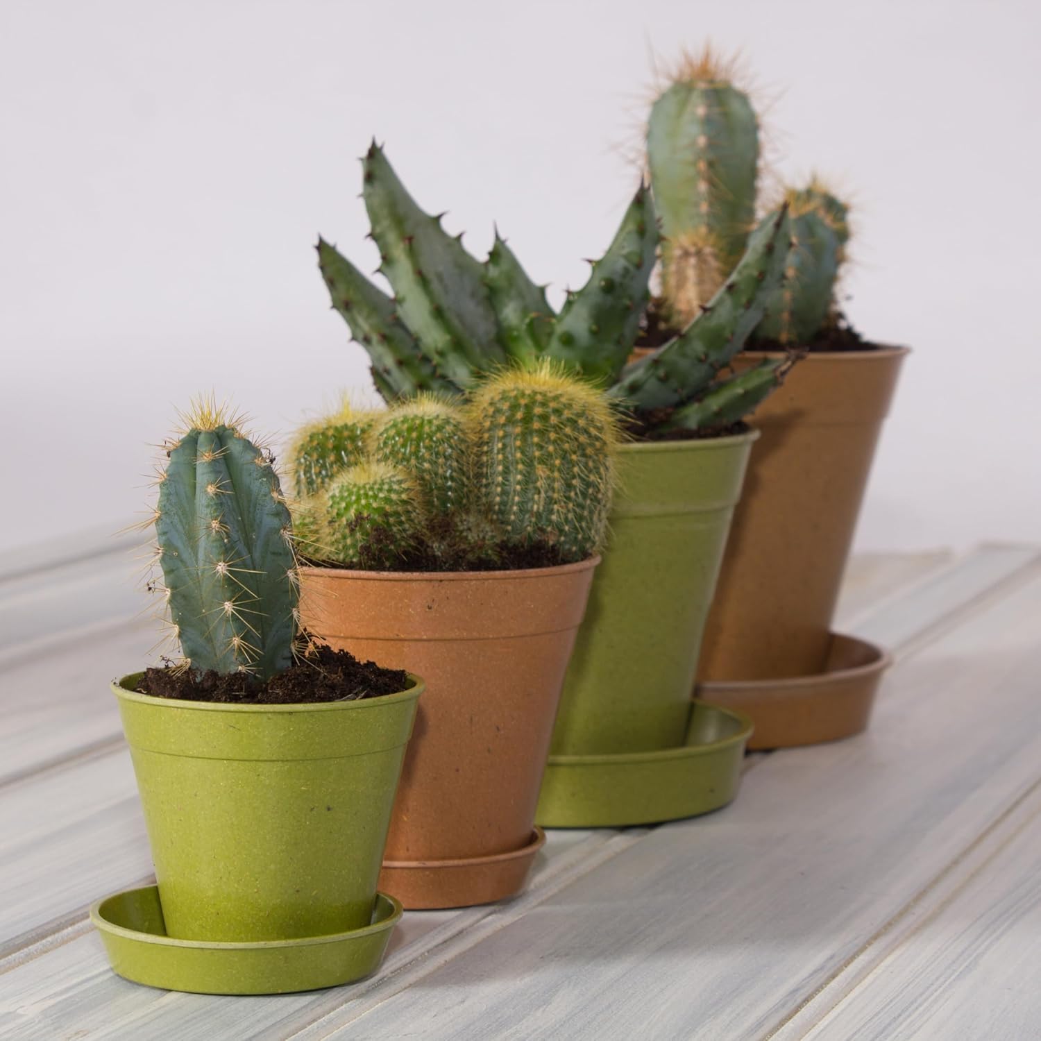 Haxnicks Indoor & Outdoor Sustainable Bamboo Fibre Plant Saucer | 8 Inch Diameter | Terracotta | Pot200201