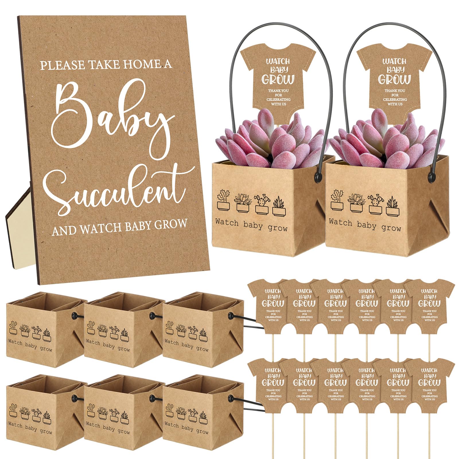 121 piezas de recuerdos de suculentas para baby shower, incluye 1 cartel, 60 etiquetas para suculentas, 60 envolturas de suculentas, regalos de suculentas de bebé, regalos para invitados, no