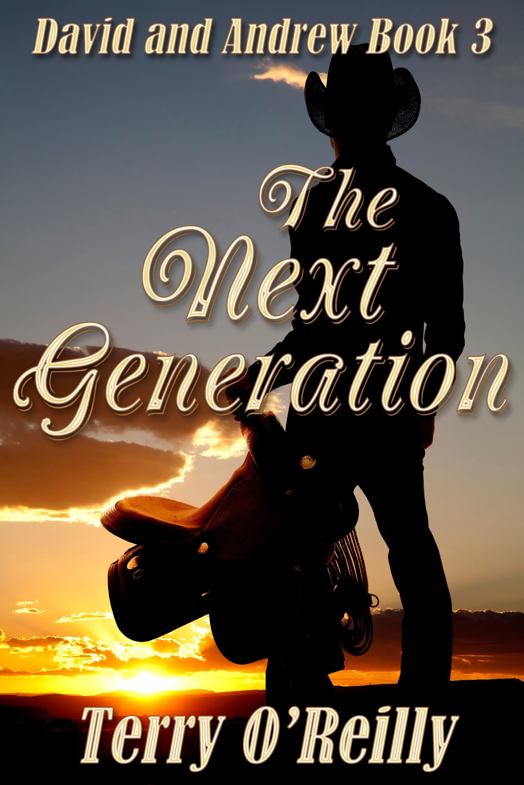 Buy David and Andrew Book 3: The Next Generation — BookShops.in