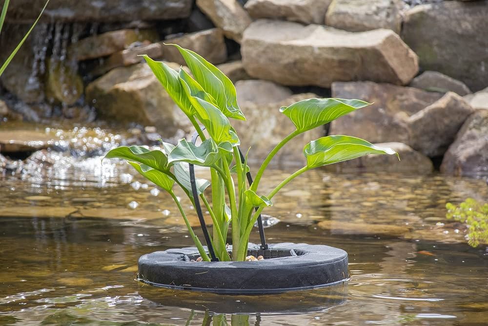 Floating Planter Basket Square 10
