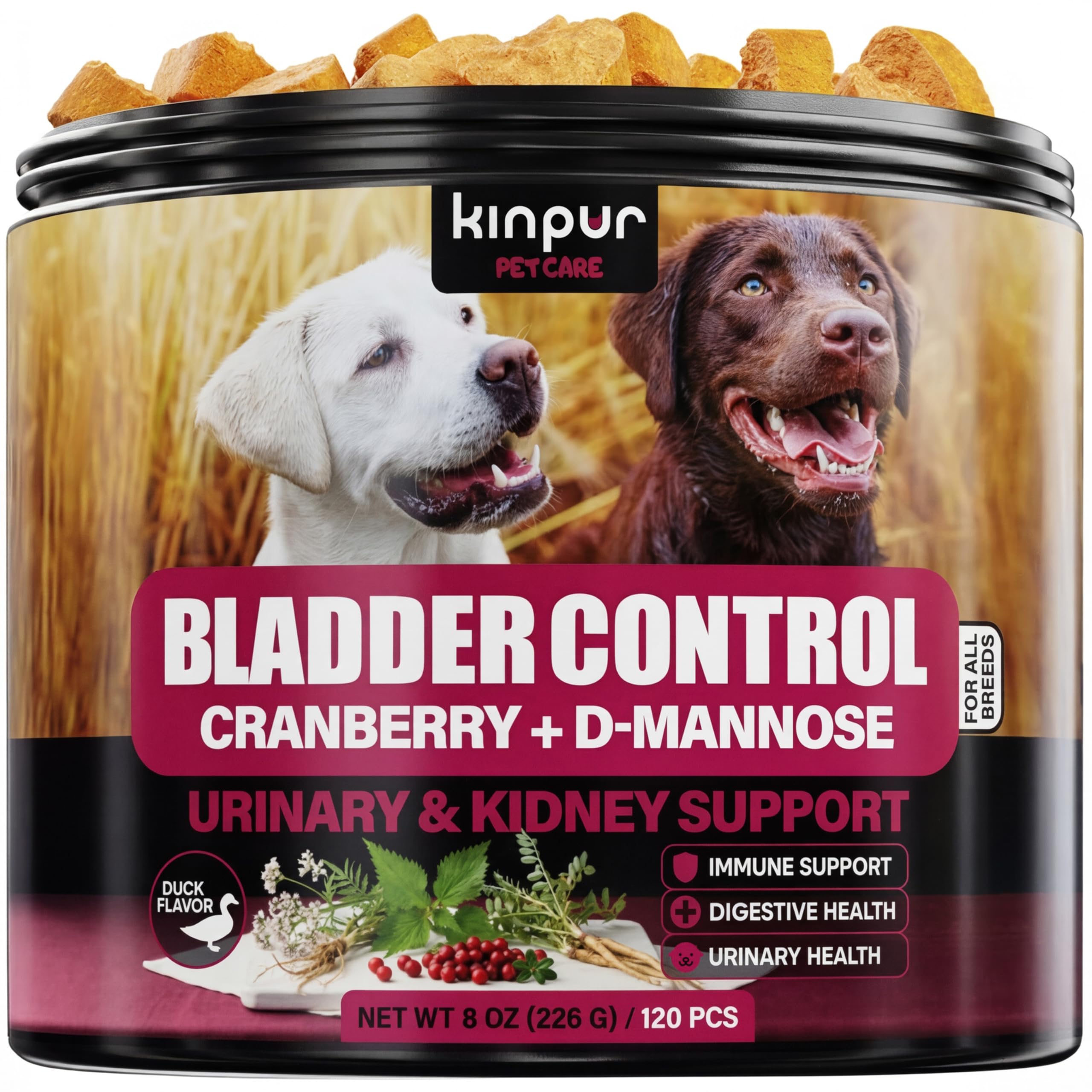 Kinpur Pet Care UTI Chews