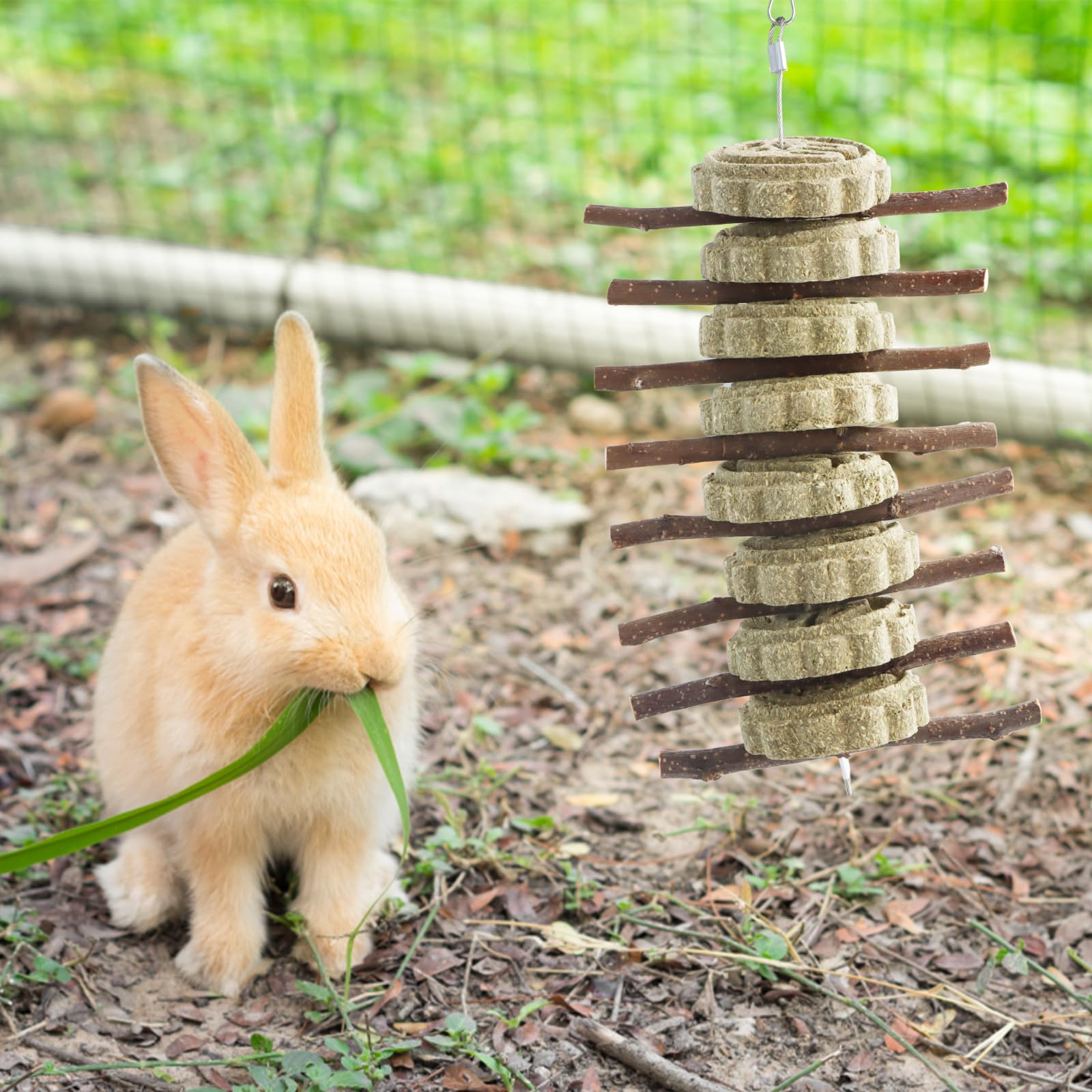 Duronge 3 Pack Rabbit Toys, Rabbits Chew Toys Apple Wood Sticks Natural Hay Sticks - Image 2