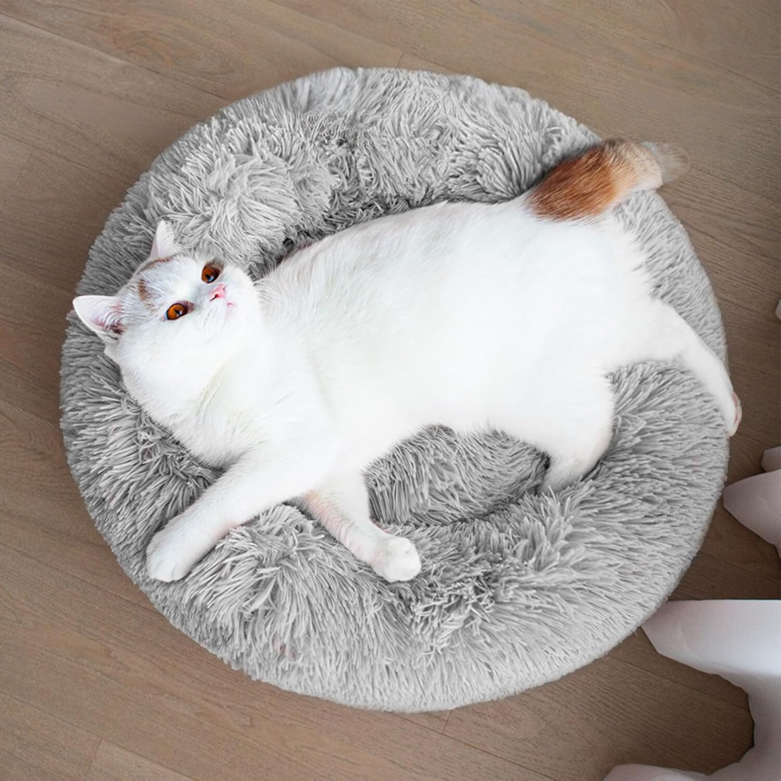 ZEXSAZONE Round Donut Pet Bed for Cats and Puppies Dogs, Cozy and Plush, Raised Bedside Support, Both Sides Use, Washable, Sizes for Small, Med (B0D8LCGHQ6) Amazon Price History, Amazon Price Tracker