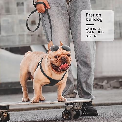 Miniatura 2 de Didog Arnés sin tirones para perros pequeños, suave y ligero juego de arnés y correa para perros pequeños, arnés de cuero duradero y ajustable para