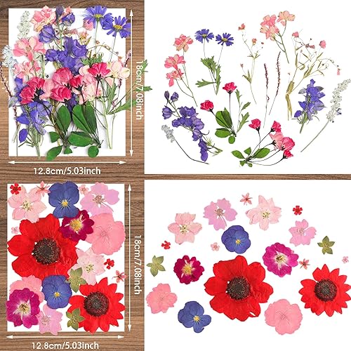 Miniatura 10 de Flores prensadas de resina para molde de resina, hojas de flores secas de margaritas reales naturales con pinzas para álbumes de recortes,