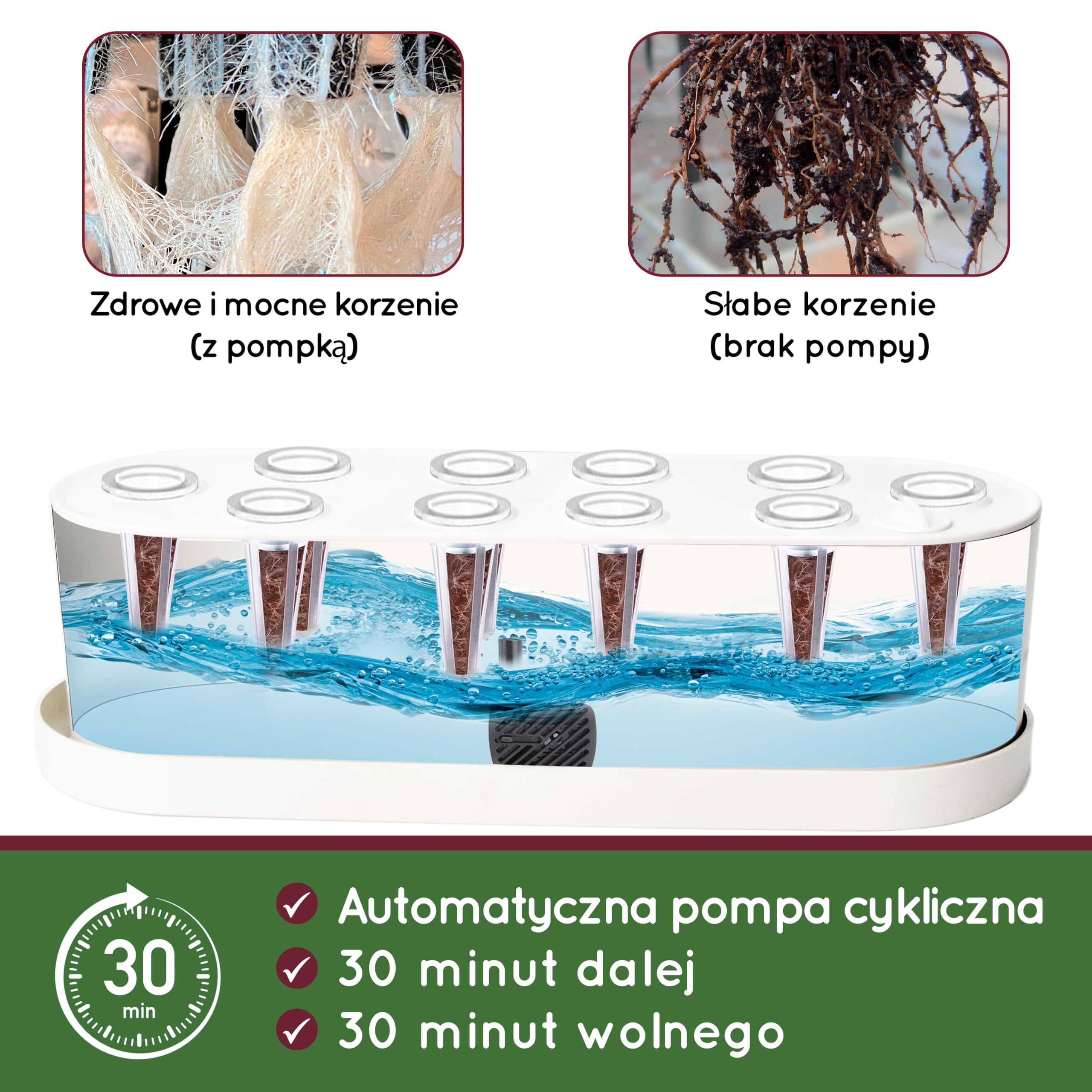 Hydroponiczny ogród warzywny - Inteligentny ogród gotowy do pchania z oświetleniem LED