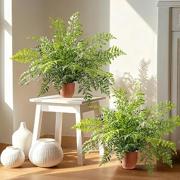 2 Pack Artificial Fern Plants in Pots Artificial Boston Ferns Potted Plants Faux Fern Bush Plant Shrubs Greenery for Outdoor Indoor Porch Patio Farmhouse Garden Living Room Office Table Decor Type 2