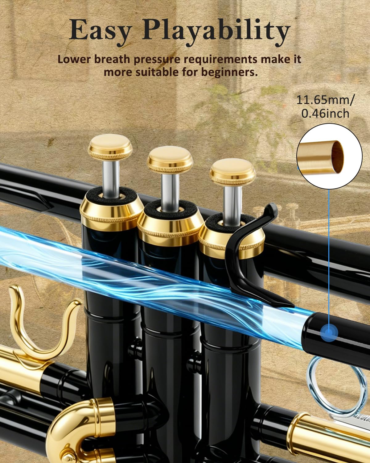 STRICH Bb Standard-Trompeten-Set für Anfänger, Blechblasinstrument für Schüler mit Hartschalenkoffer, Reinigungsset, Mundstücken 7C und 3C, Handschuhen, Schwarz-Gold