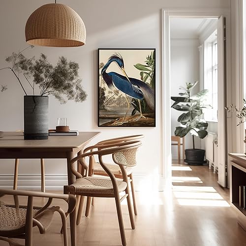 Miniatura 5 de Poster Master Póster vintage de James Audubon  Impresión de garza de Luisiana  Arte de aves de América  Arte de aves  Regalo para hombres, mujeres y