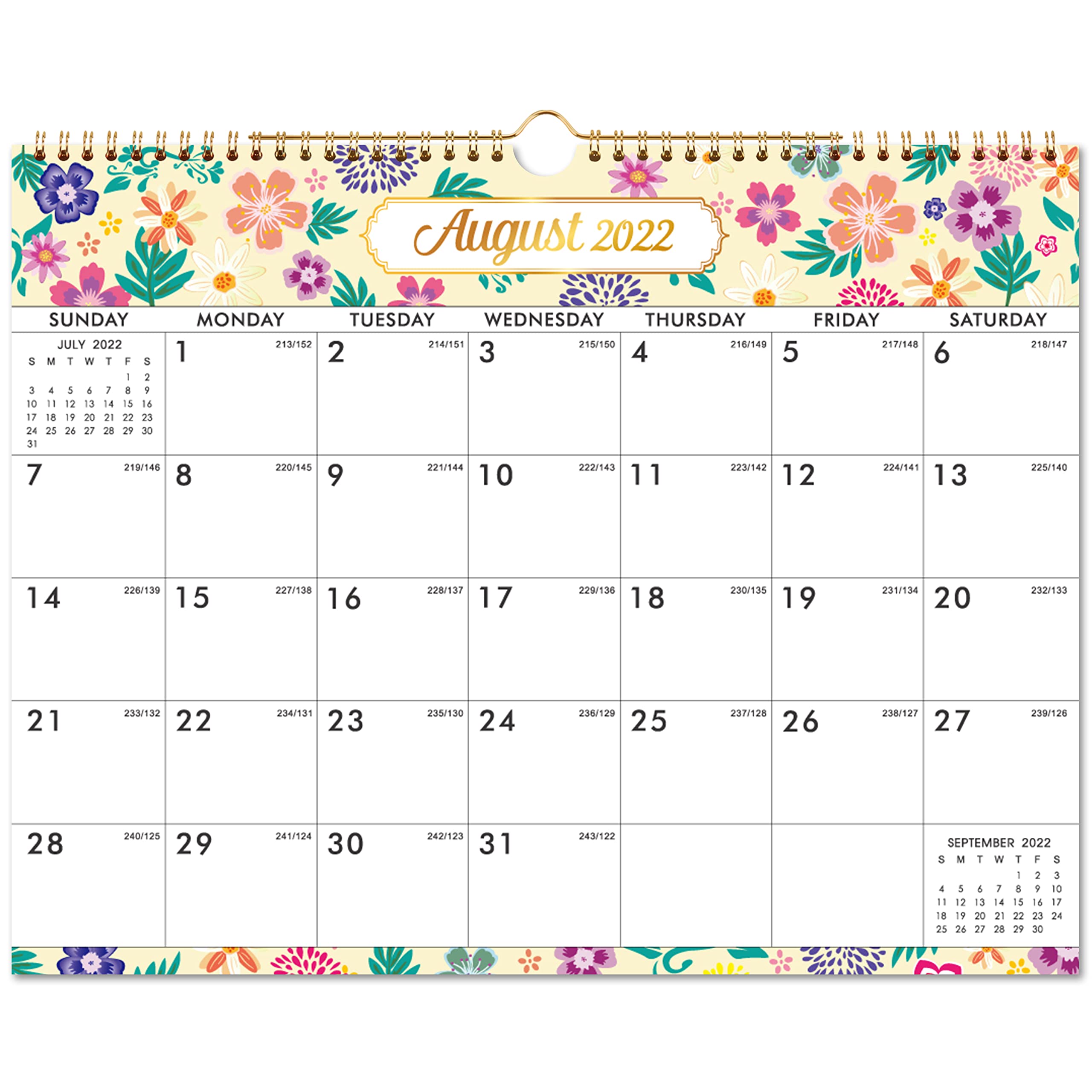 Buy 20222023 Calendar Wall Calendar 20222023, July 2022 to December