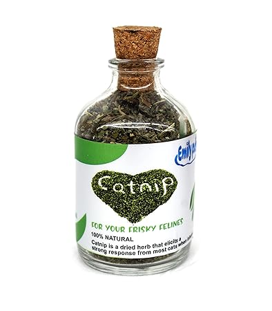 Emily Pets Natural Attractive Mint Fragrance Funny Playing Catnip Cats Natural Attractive Mint Catnip Pack of 1