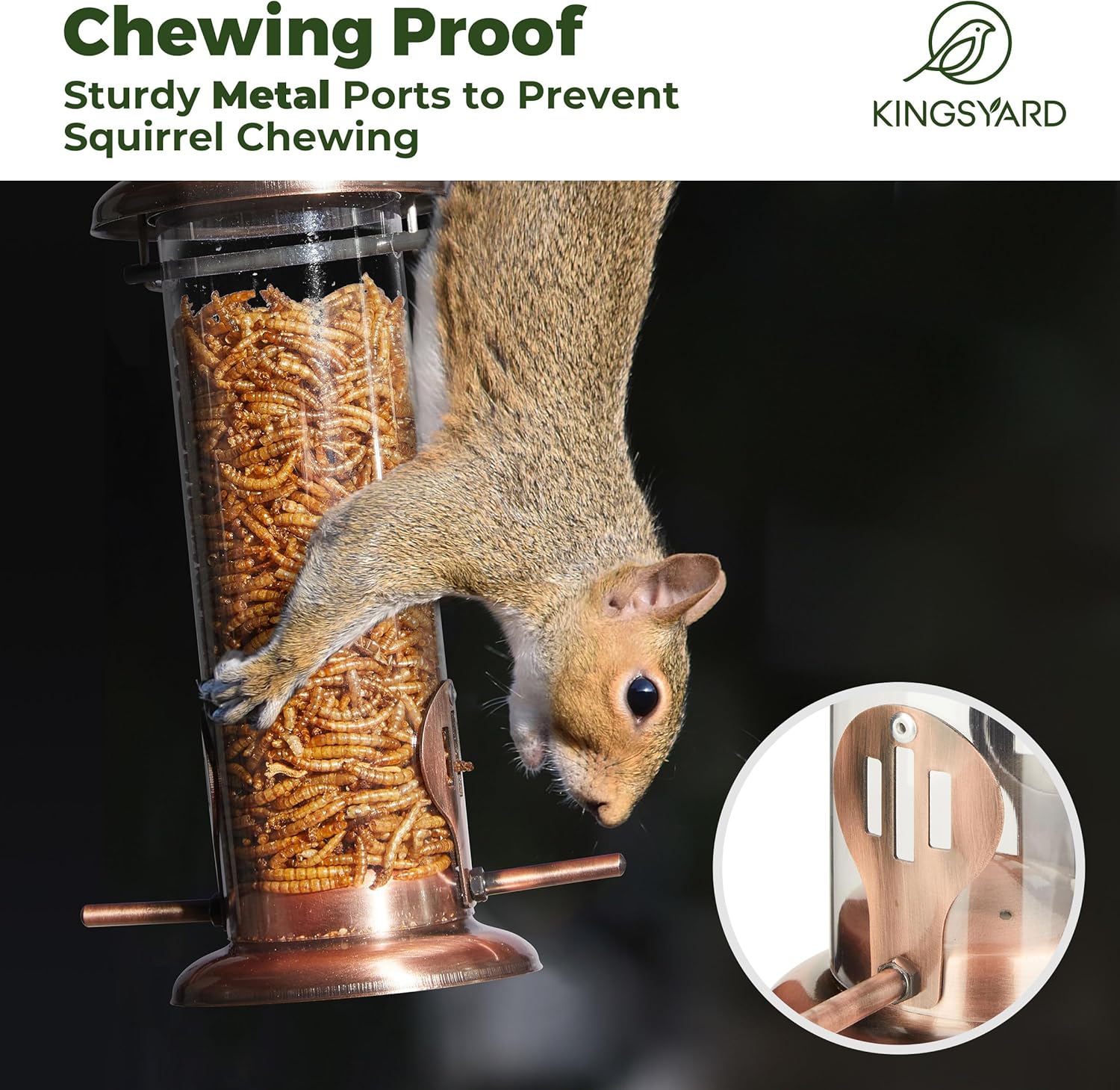 Kingsyard Bluebird Feeder for Outdoors Hanging - Chew Proof Mealworm Tube Bird Feeder for Wild Birds + 2 Pack Tube Feeders with 6 Feeding Ports for Outdoors Hanging
