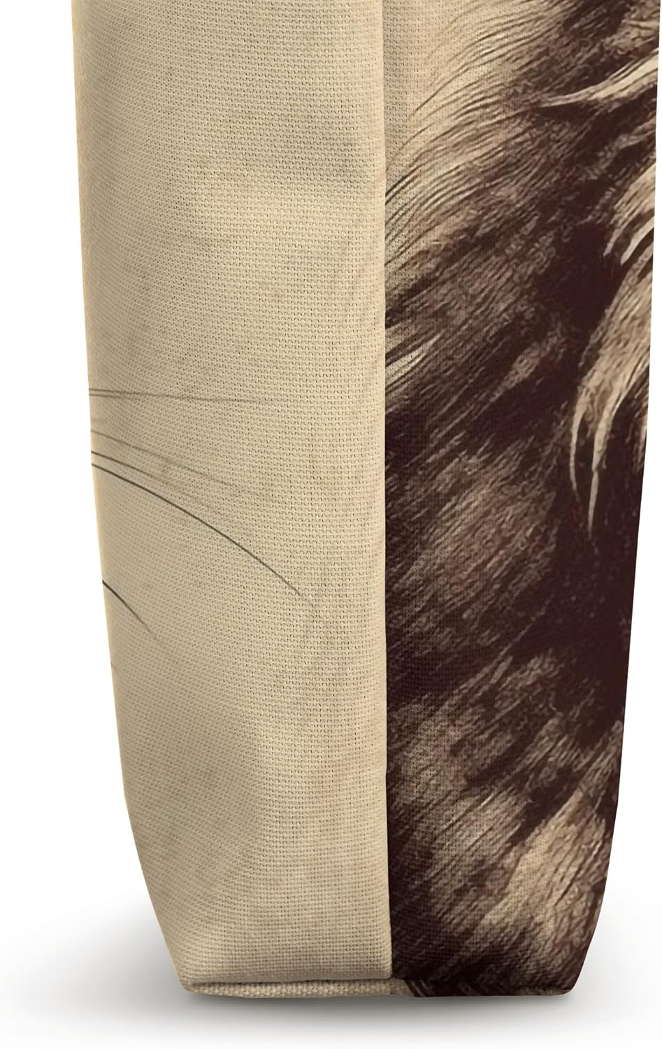 Maine Coon Cat Lover Vintage Maine Coon Tote Bag