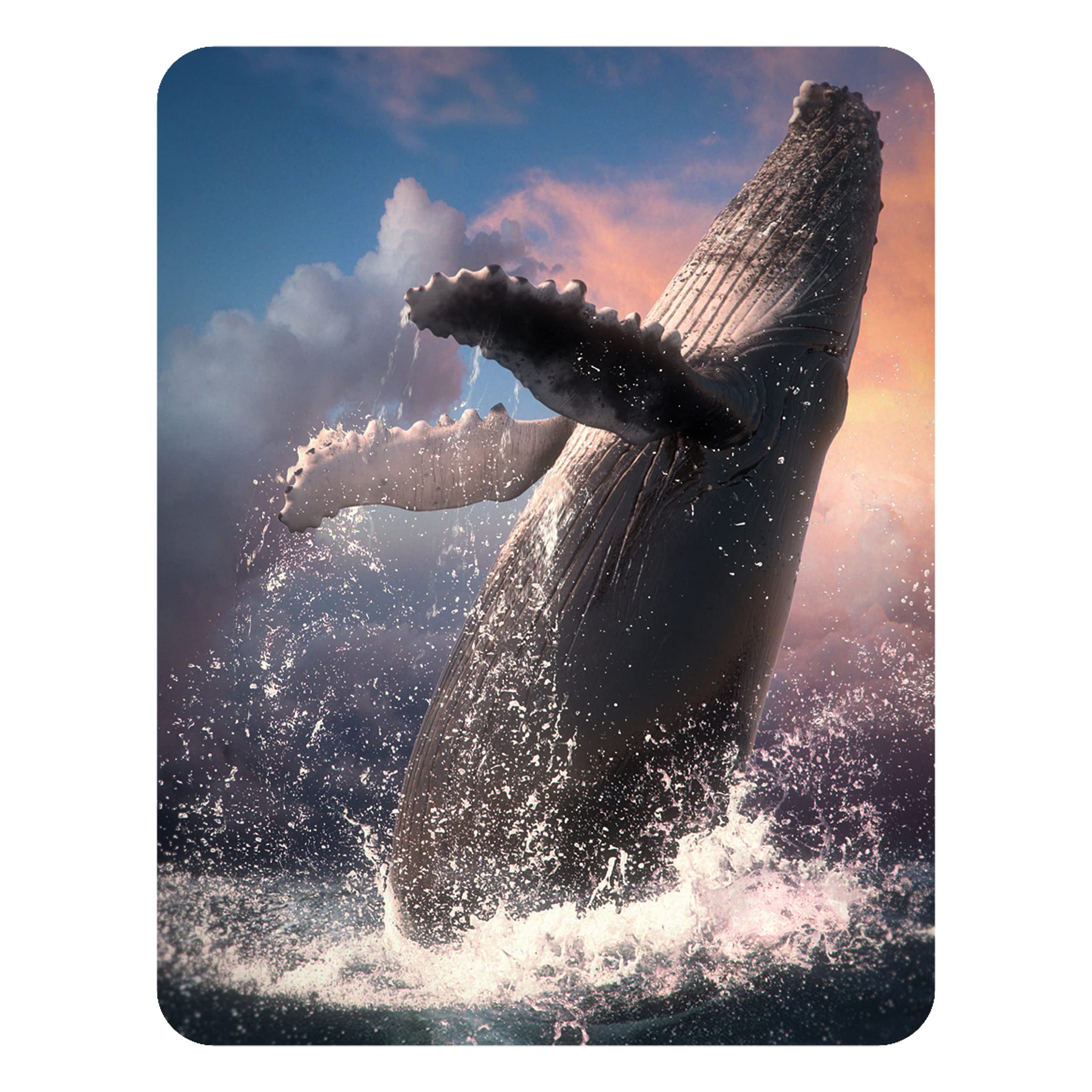 3D Livelife Blue And White Magnet - Whale Jump From Deluxebase. Lenticular Ocean Fridge Magnet. Decorative 3D Whale Flat Magnets. Cute Small Magnets For Fridge, Dishwasher And Whiteboard.