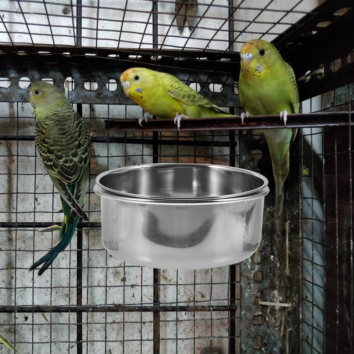 Mobestech 2pcs Stainless Steel Bird Food Bowl with Dual Screw Holes 14x5.5cm Convenient Parrot and Small Bird Feeder for Cage Sturdy Feeding and Watering Accessory