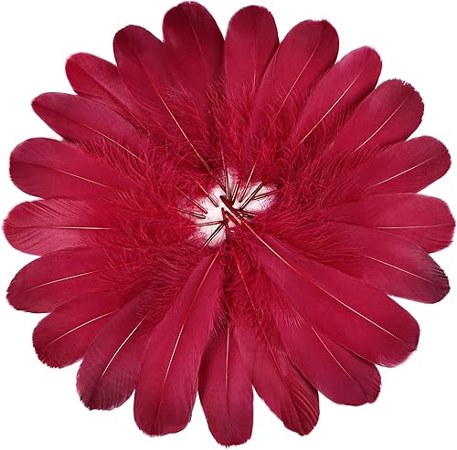 FeelfunFeather 120 plumas de ganso de color rojo vino de 6 a 8 pulgadas, 5.9-7.9 in, decorativas, naturales, plumas de ganso Nagoire a granel para