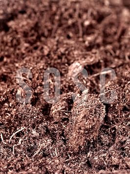 Imported Sphagnum Plant Growing Peat - Insect Does Not Make Flies Premium Quality 5 Lt