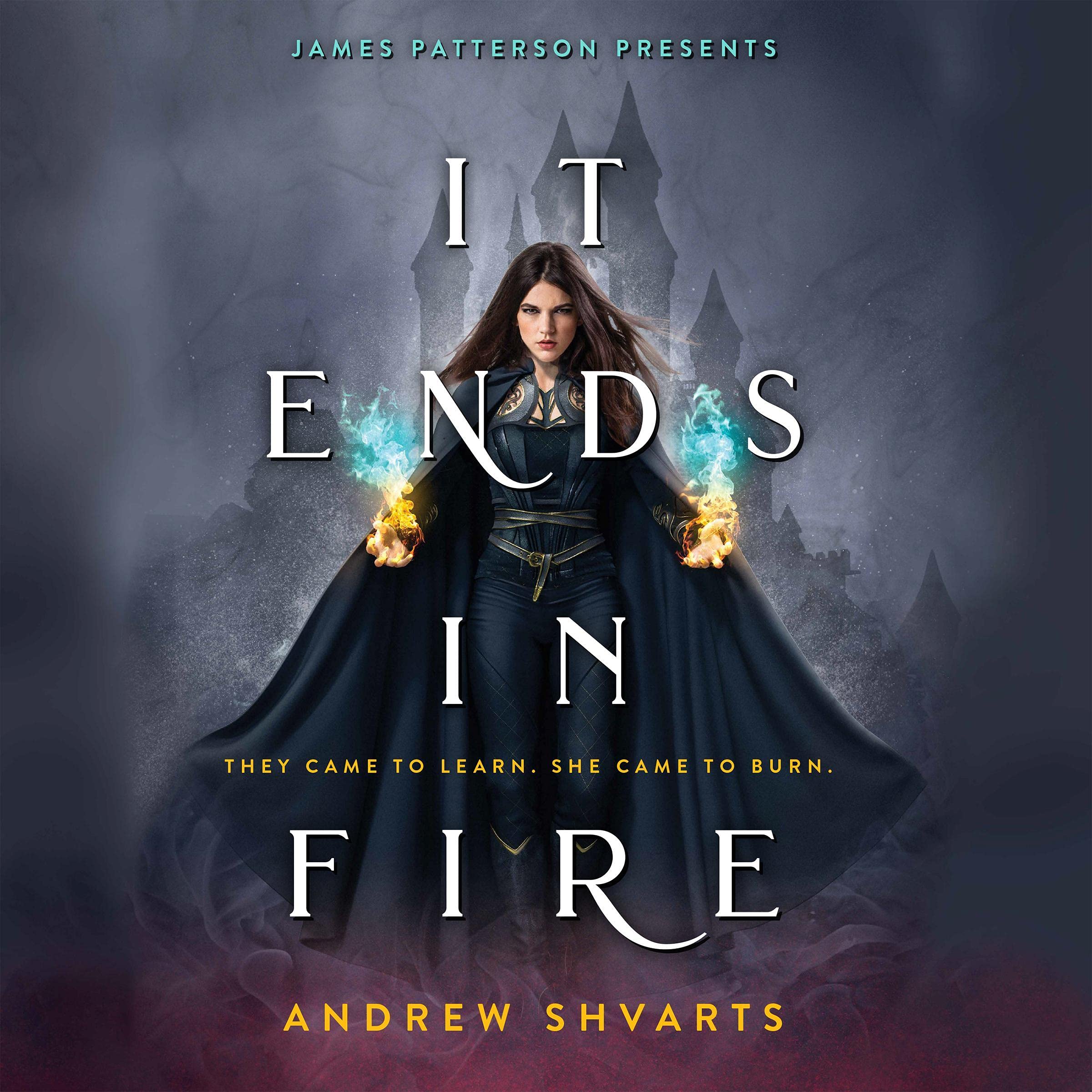 Cover art for It Ends in Fire