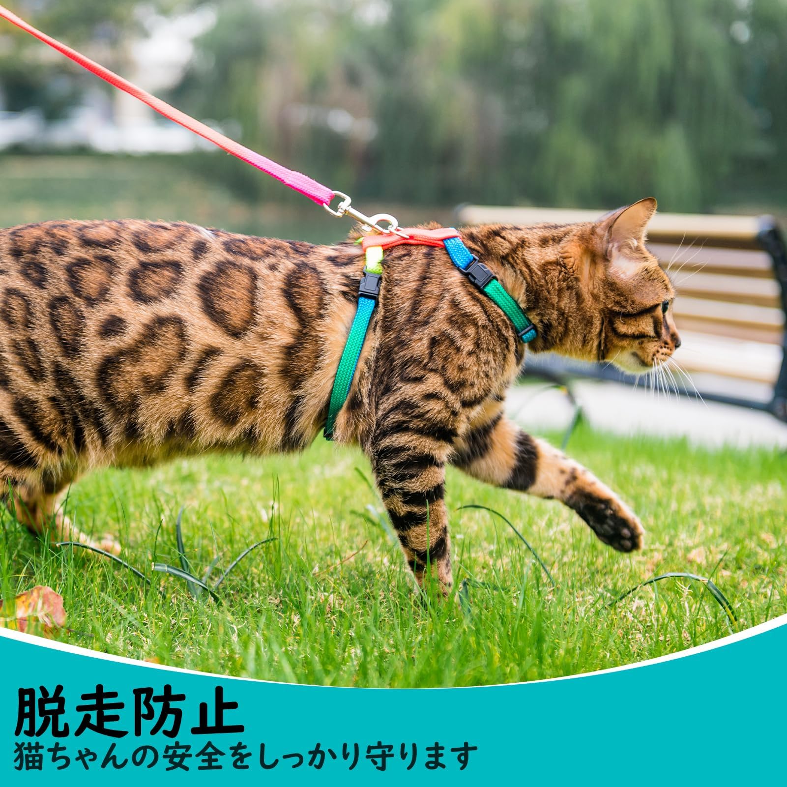 Amazon | PUPTECK 猫 ハーネス リードセット 猫用ハーネス 猫牽引