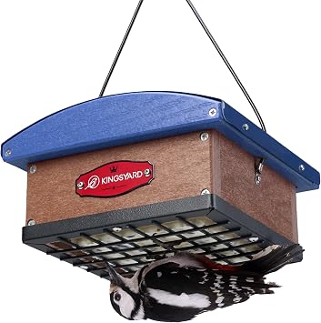 Kingsyard Upside Down Double Suet Bird Feeder | Metal Weatherproof Roof, Squirrel-Proof Edging, Great for Attracting Woodpecker Nuthatch Titmouse