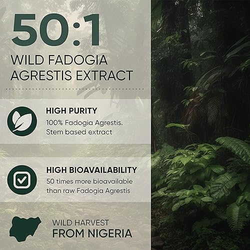 Miniatura 7 de Jungle Powders Polvo Tongkat Ali para hombres Extracto 2001, polvo de extracto de Fadogia Agrestis para hombres 501 concentración 501 suplemento de