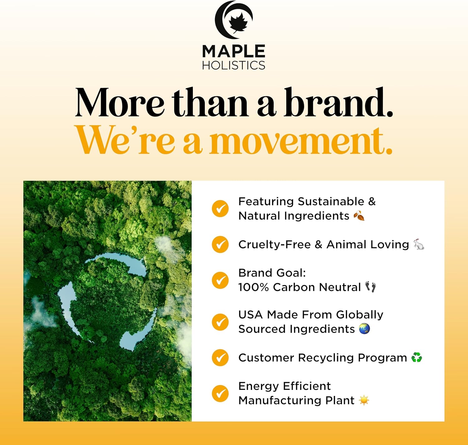 Focus Essential Oil Roll On - Aromatherapy Essential Oil Roller with Invigorating Pure Citrus and Mint Oils - Attention and Focus Essential Oil Blend with Eucalyptus Peppermint & Grapefruit (1 Pack) - Image 8