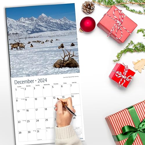 Miniatura 5 de RED EMBER Untamed & Beautiful National Parks 2024 Calendario mensual colgante de pared  12 x 24 pulgadas abierto  Papel grueso y resistente  Regalar