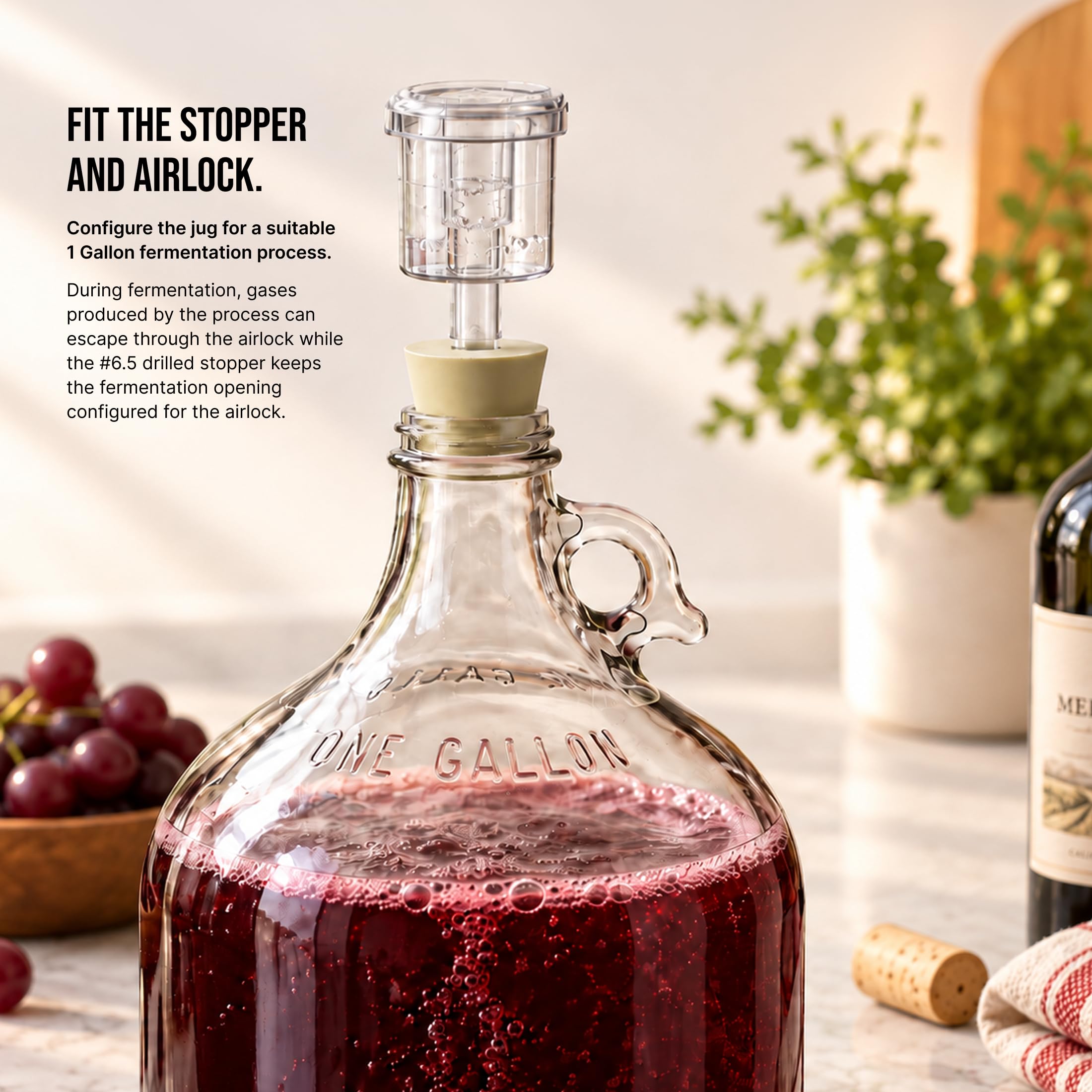 Glass Fermenting Jug - 1 Gallon with Airlock -8