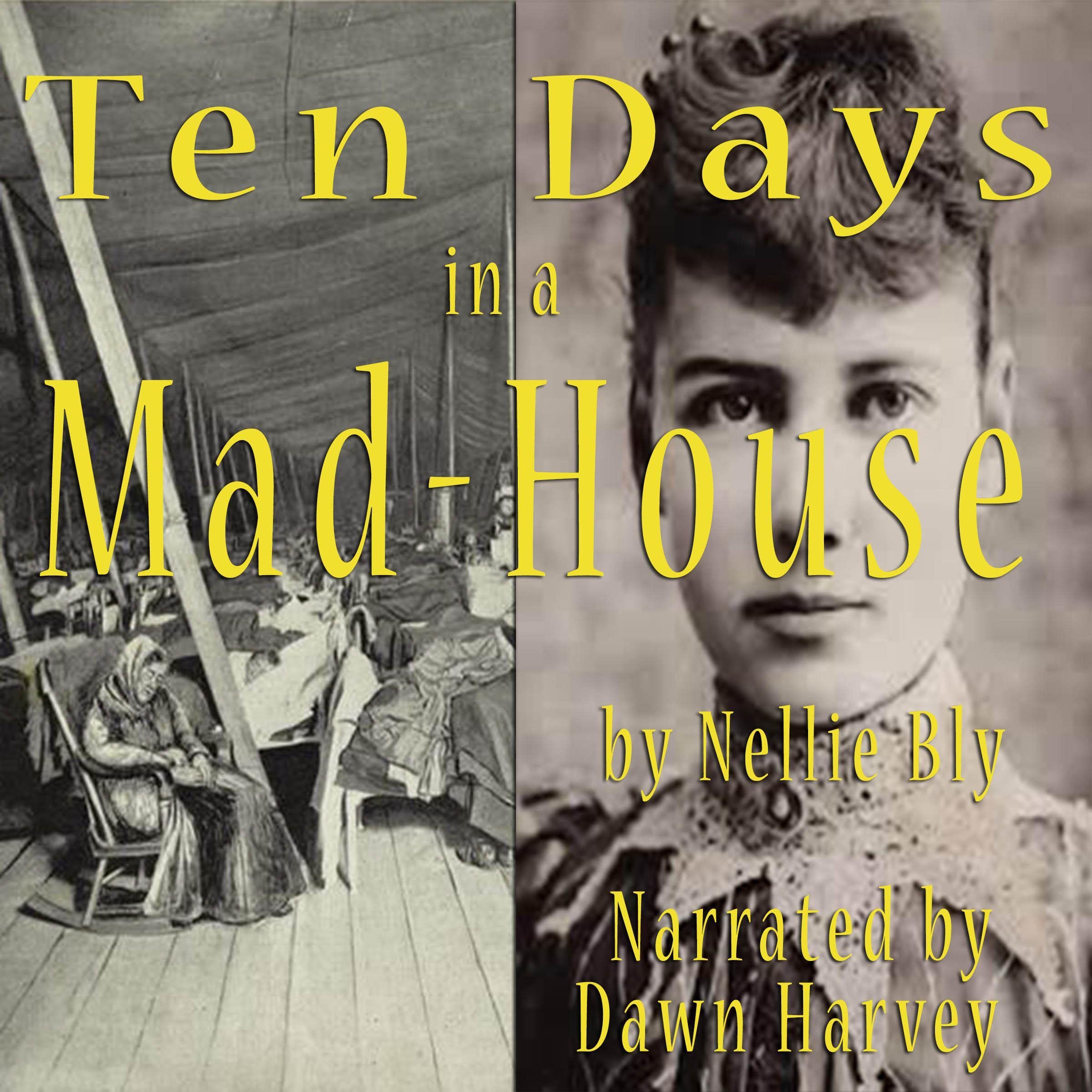 Cover art for Ten Days in a Madhouse