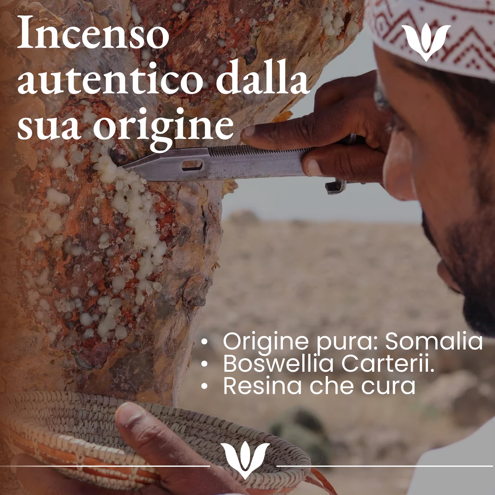 Olio Essenziale Incenso - Puro al 100%, 10ml di Incenso | Naturale Distillato a Vapore Essenziale per il Viso, Olio Per Diffusore Ambiente