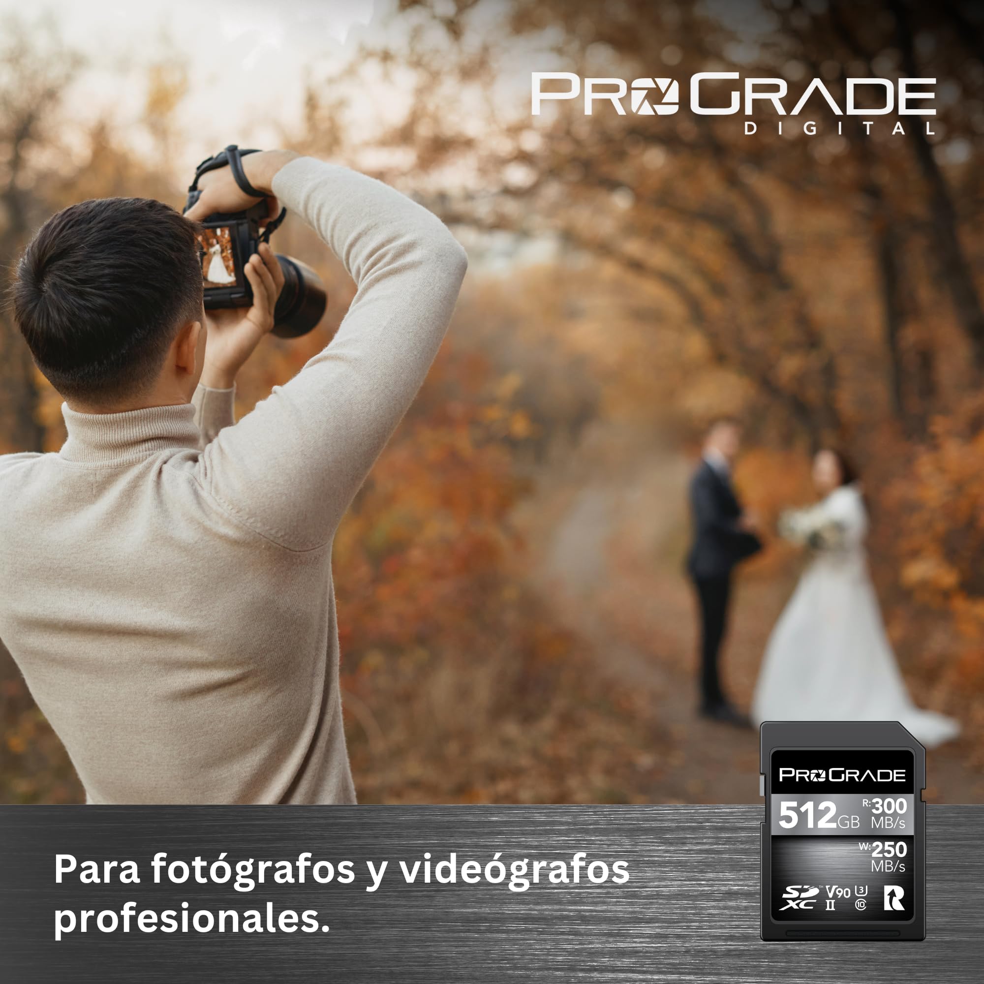 Tarjeta de Memoria ProGrade Digital SDXC UHS-II V90 300R (512GB)