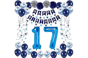 Happy 17th Birthday Party Decorations