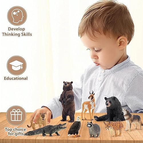 Miniatura 7 de Toymany 12 figuras de animales del bosque norteamericano, juego realista de animales de zoológico de la selva incluye alce, puma, lobo, oso, águila