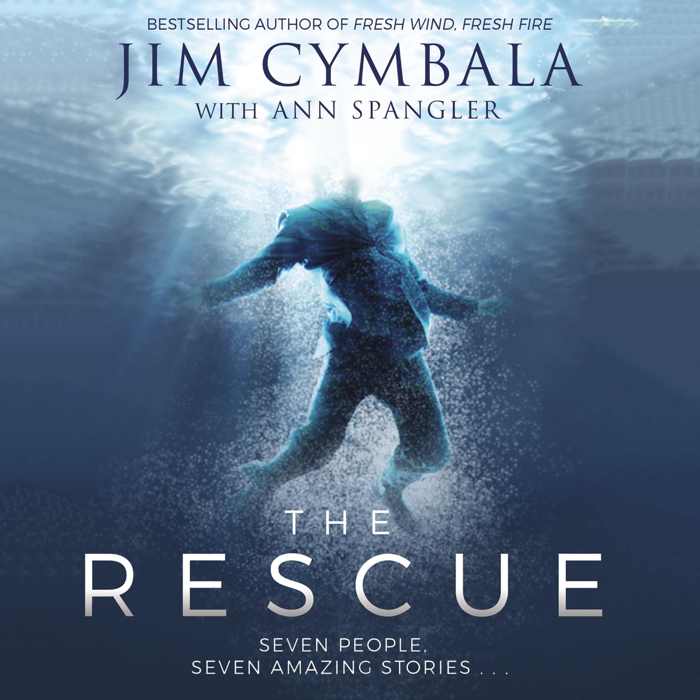 Cover art for The Rescue