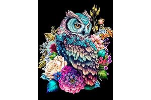 croshom Owl Diamond Art Painting Kits for Adults: Unleash the Diamond Art Wizard Within