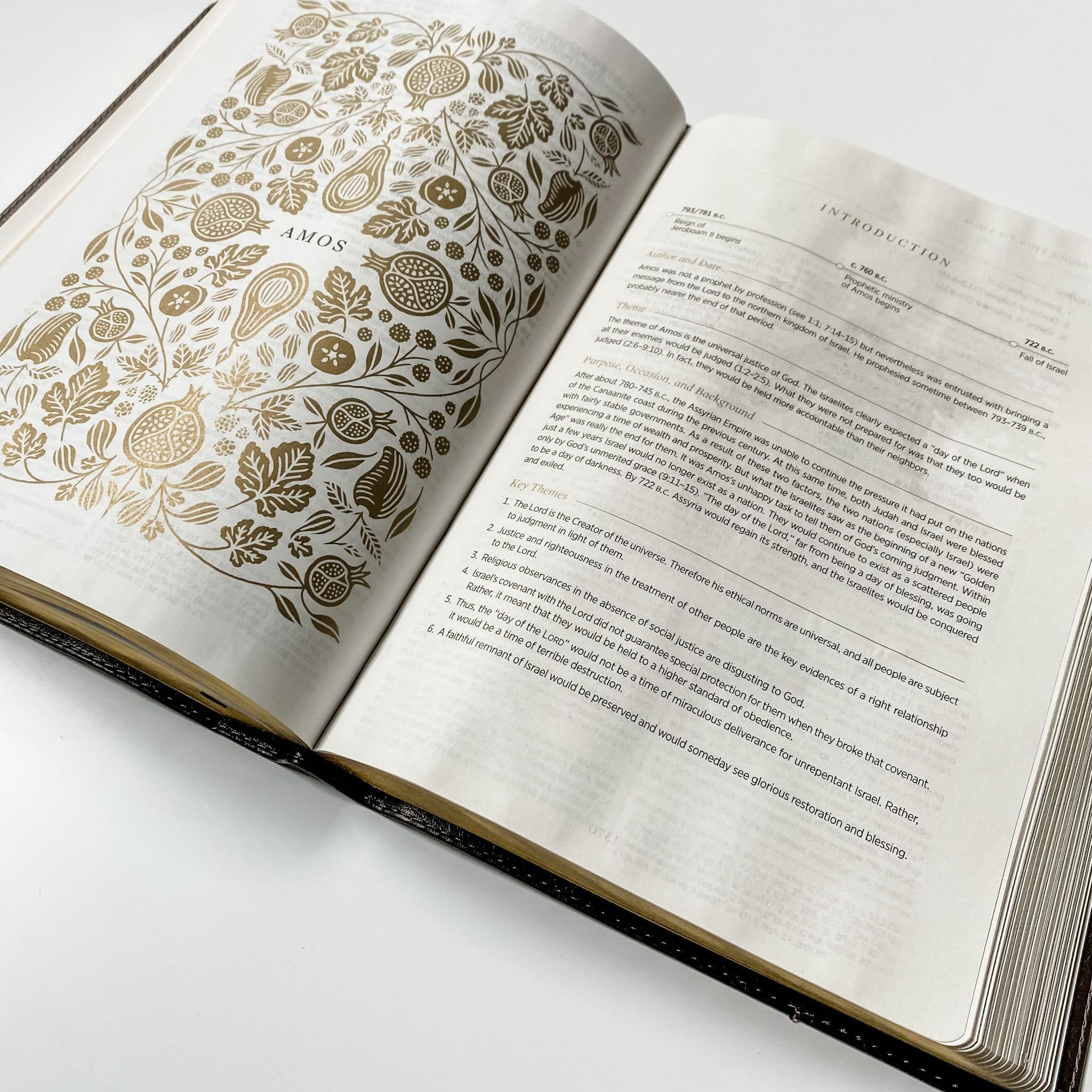 ESV Women's Study Bible, I Will Sing of the Goodness of God, Hand Lettered and Laser Engraved, Personalized Gift, Custom Name Engraving Available - Image 5