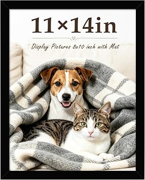 PEALSN 11x14 Picture Frame, Display Picture 8x10 with mat or 11x14 No Mat Wall Mount Display, Photo Frame, Black | 11x14 inch Wall Display Picture Frame, Photo Frame, 1 Pack