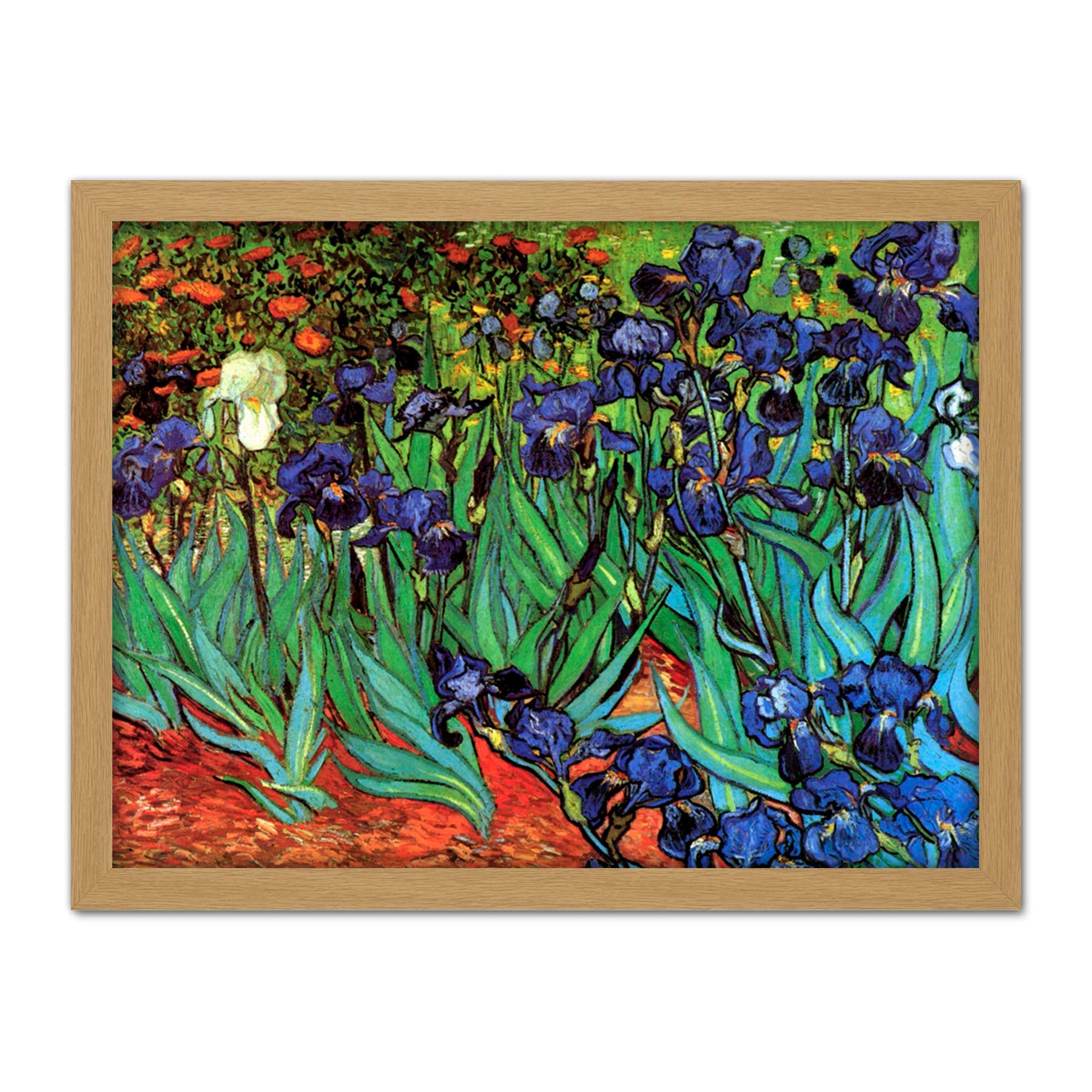Wee Blue Coo Van Gogh Irises Artwork Framed Wall Art Print 18X24 Inch