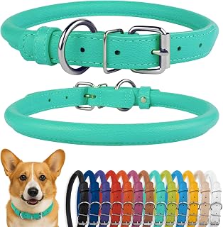 CollarDirect Rolled Leather Dog Collar, Soft Padded Round Puppy Collar,Handmade Genuine Leather Collar Dog Small Large Cat Neckband 13 Colors (35-40 Cm,Mint Green Textured)