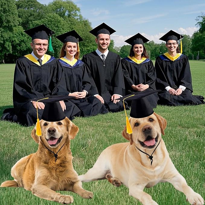 2 Gorros de Graduación para Perros Grandes con Borlas Negras, Talla L, Amarillo miniatura 6