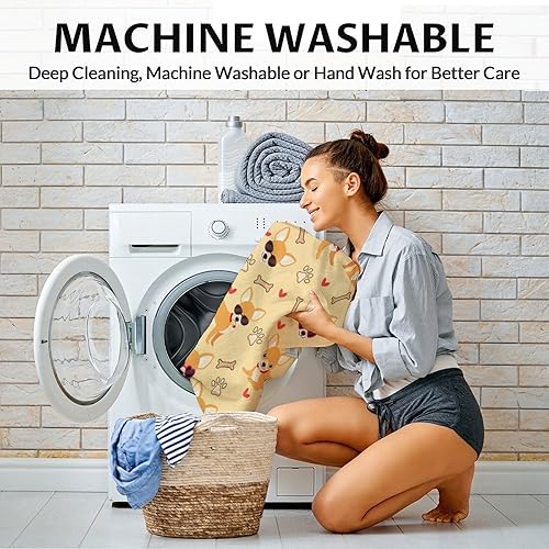 Miniatura 5 de Chihuahua - Manta de regalo  Manta de 40 x 50 pulgadas para niños y adultos  Manta suave y mullida naranja claro para sofá, sofá