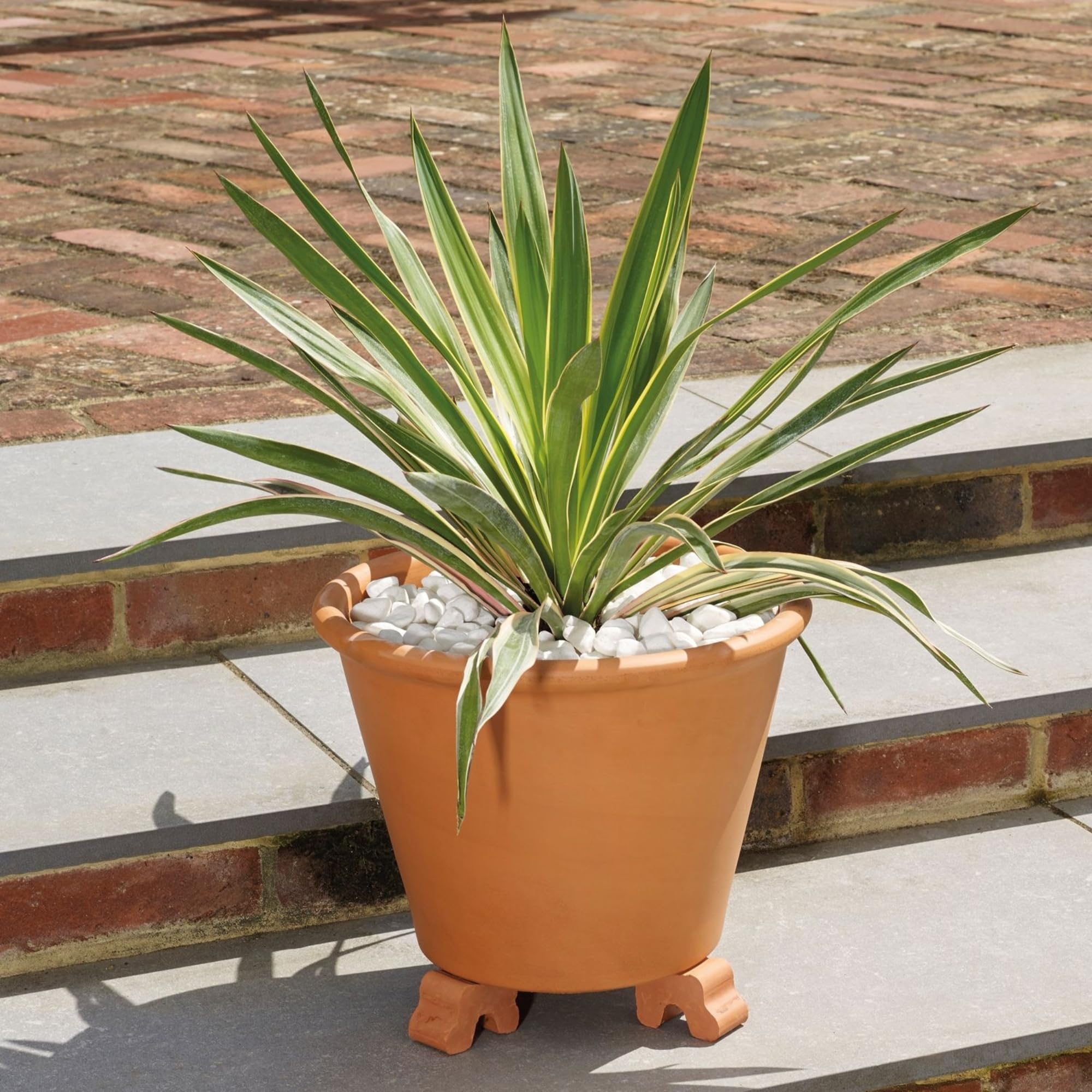 W-Direct Set di 3 piedini per vasi in terracotta, per un migliore drenaggio, protezione dal gelo e radici più sane, per interni ed esterni, 3 x 5 x 3 cm (smalto blu)