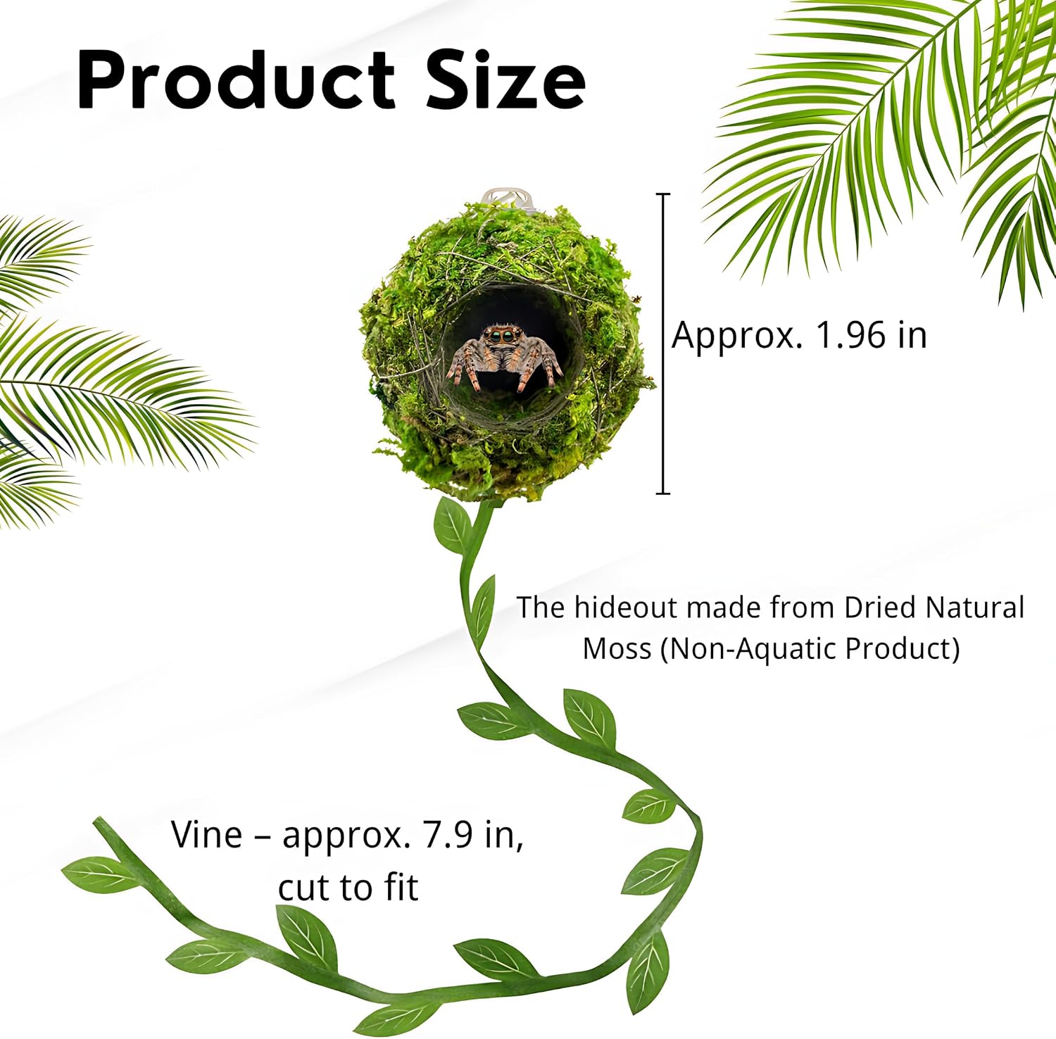 Jumping Spider Moss Hideout Magnetic Handmade Enclosure Accessory (1 Pc) image 4