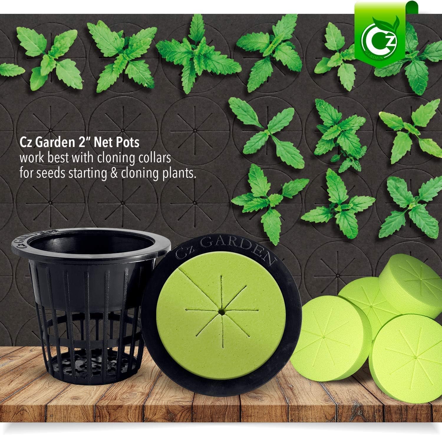 100 pack - 2 inch Net Pots Cz All Star Round HEAVY DUTY Cups WIDE LIP Design - Orchids • Hydroponics Slotted Mesh