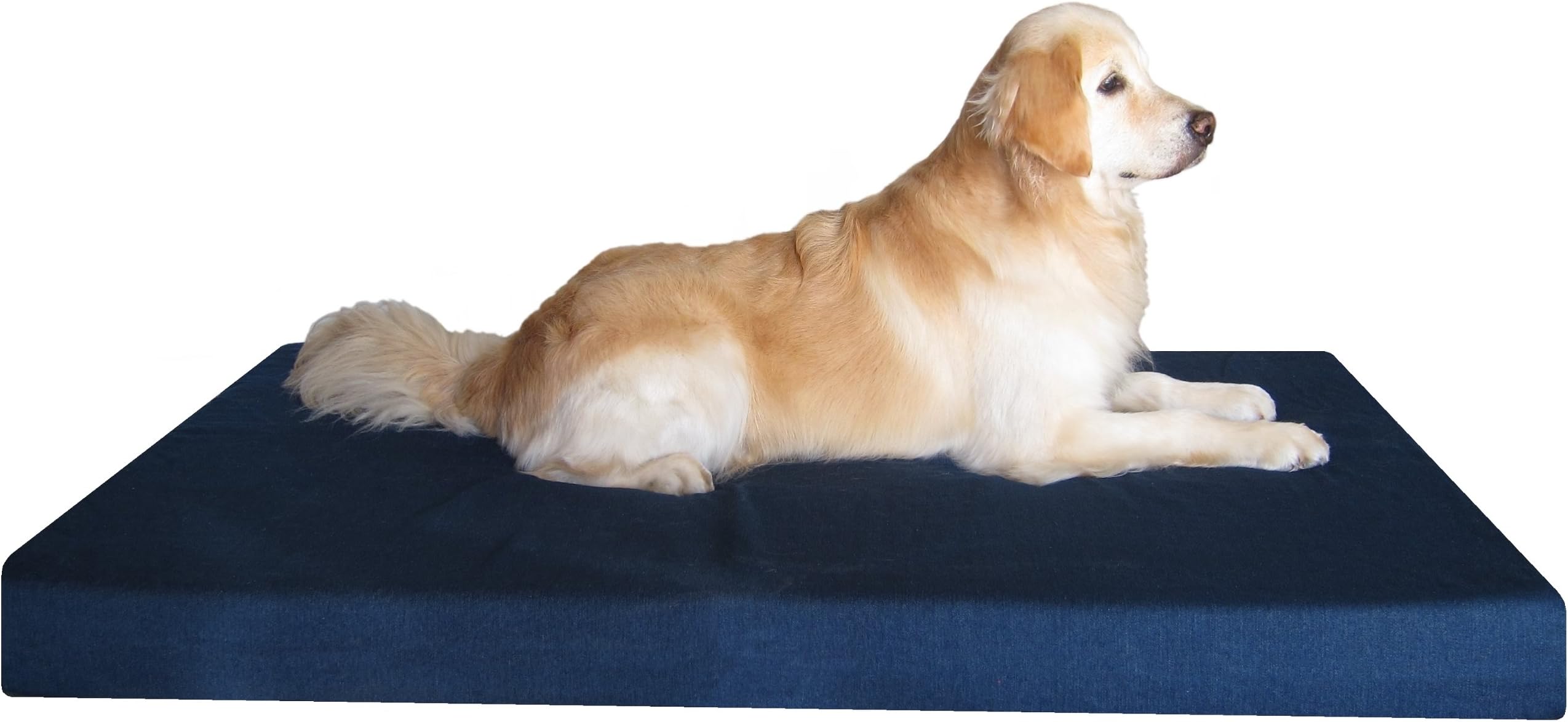 Dogbed4less Jumbo Orthopedic Memory Foam Dog Bed for Large
