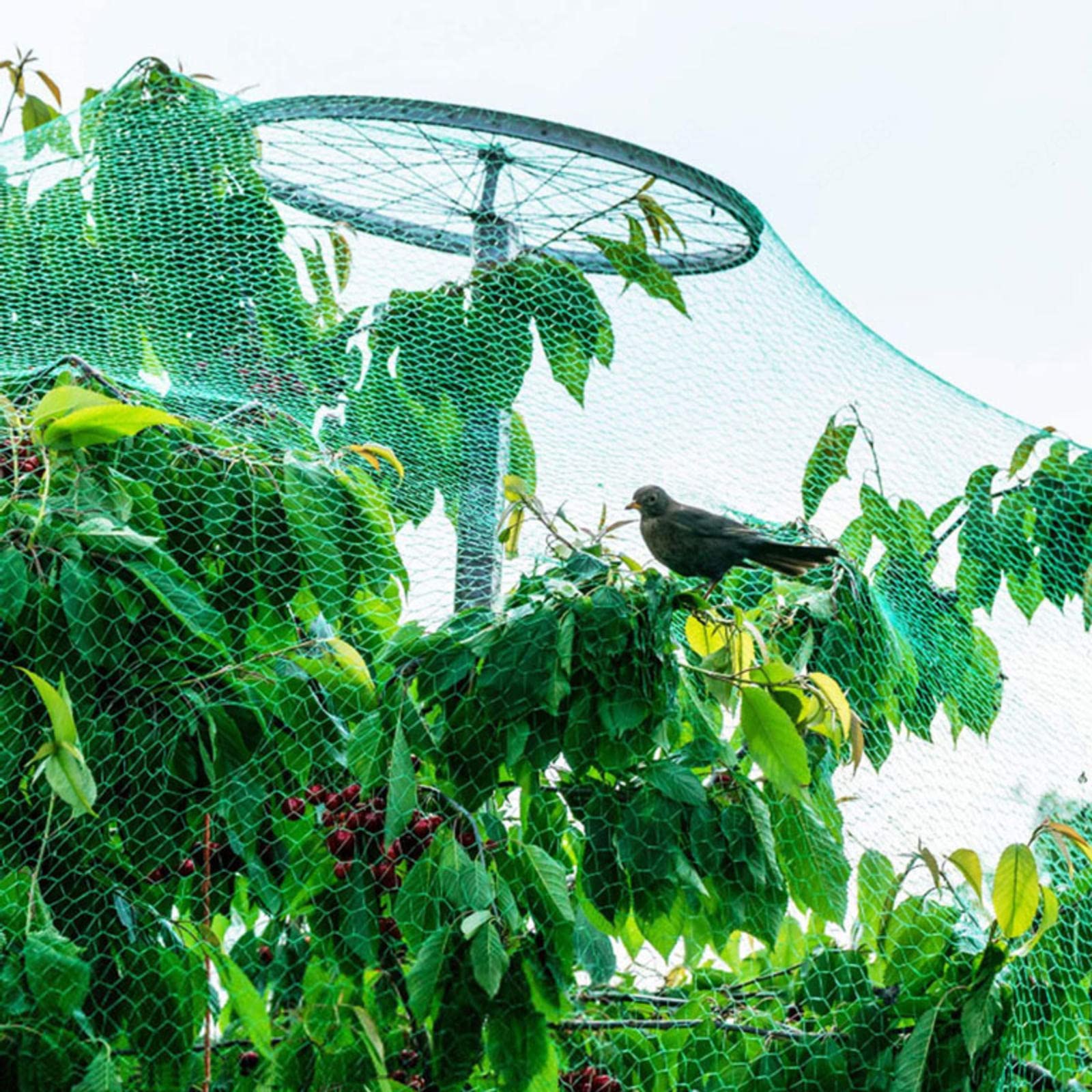 Rete da giardino per stagni Vetables 10 x 10 m Anti Airone De Protect Net 1,5 x 1,5 cm Mesh Size Versatile Garden Securi Rete