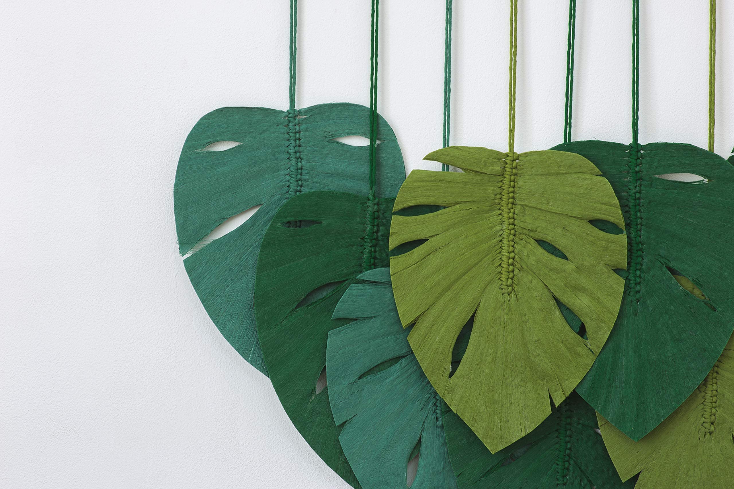 bilder philodendron Philodendron Heart Leaf in Hanging Basket main image 0
