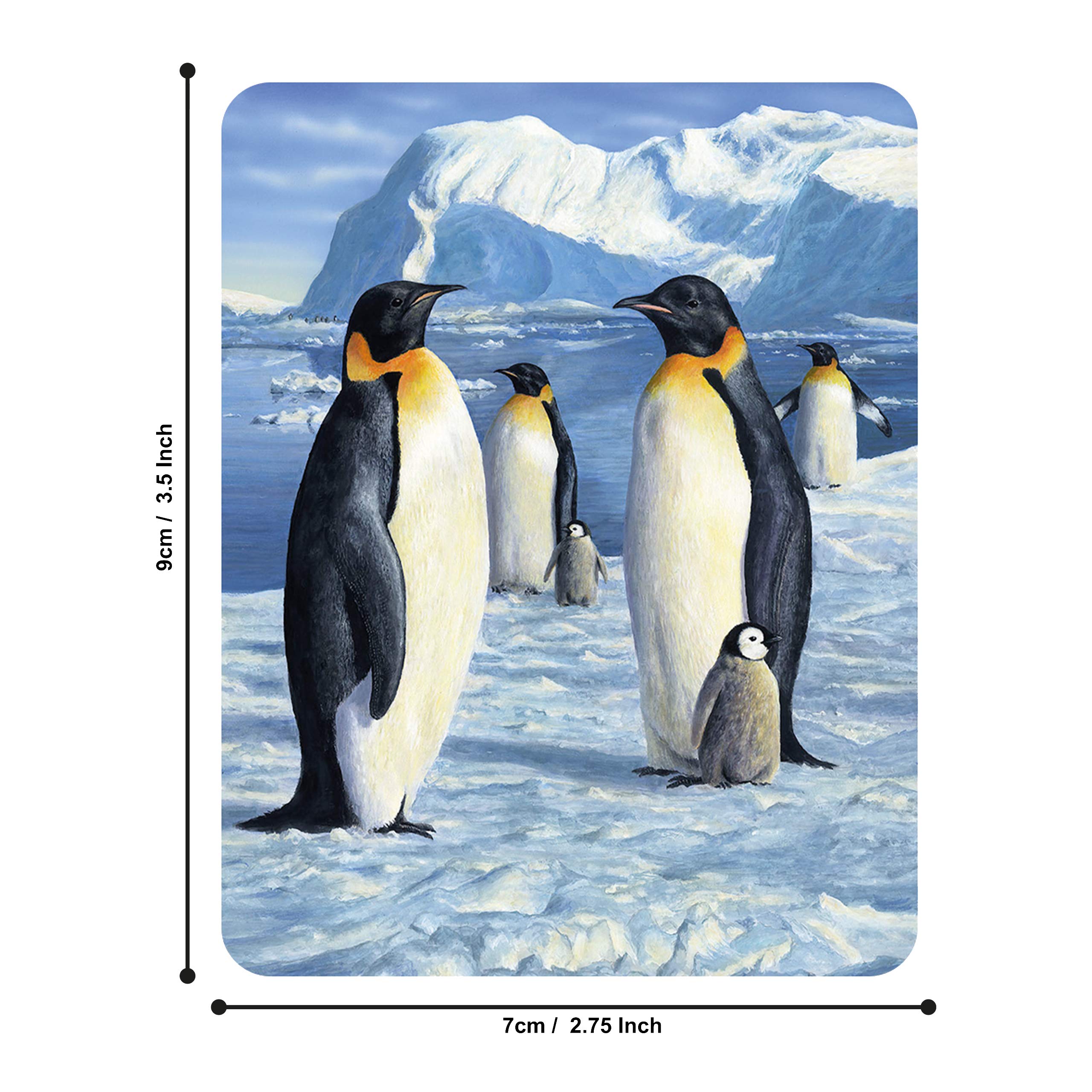 Amazon.com: 3D LiveLife Magnet - Antarctic Majesty from Deluxebase